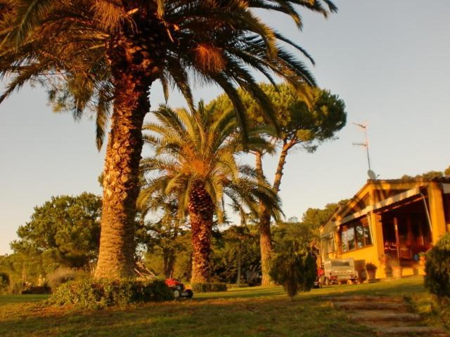 מלון Montrás Puig Gros מראה חיצוני תמונה